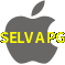 Aplicativo SELVAPGbet para iOS